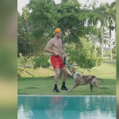 Un pitbull muerde en la zona más dolorosa al youtuber Logan Paul