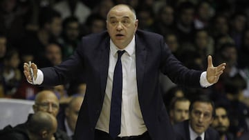 Pablo Laso durante el partido entre Real Madrid y Real Betis.