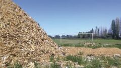 Mayne Nicholls lanza su primer libro fotográfico sobre fútbol