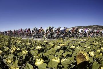 El pelotón pedalea a su salida de Burgos.