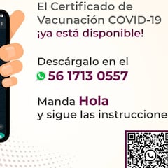 Cómo obtener el certificado de vacunación en WhatsApp y qué necesitas para descargarlo