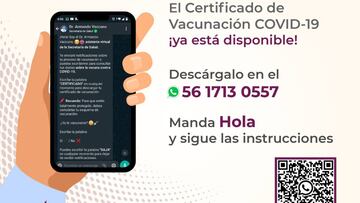 Cómo obtener el certificado de vacunación en WhatsApp y qué necesitas para descargarlo