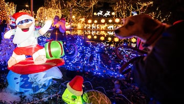 Make sure your Christmas decorations don’t cause holiday discord