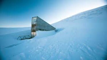 El archipiélago de Svalbard, el “talón de aquiles” de la OTAN
