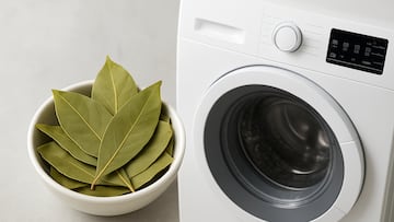 People say adding bay leaves to your laundry can naturally eliminate odors and leave clothes smelling fresh, though science is skeptical.