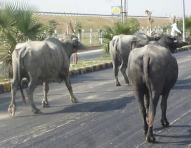 De camino a India, recuerdos de Oriente