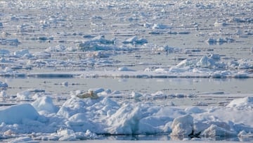 ?Cu¨¢les son los mares con las aguas m¨¢s fr¨ªas del mundo?