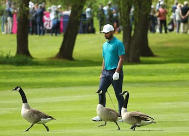 Tres peculiares espectadores en el Masters Británico