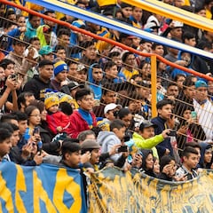 Afición felina no podrá viajar a Catar