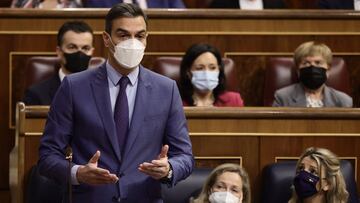 pedro sanchez