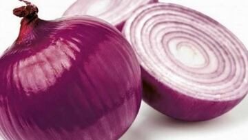 Encuentran en Aragón un compuesto natural que frenaría la infección del coronavirus