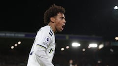 Soccer Football - Premier League - Leeds United v West Ham United - Elland Road, Leeds, Britain - January 4, 2023  Leeds United's Tyler Adams reacts Action Images via Reuters/Lee Smith EDITORIAL USE ONLY. No use with unauthorized audio, video, data, fixture lists, club/league logos or 'live' services. Online in-match use limited to 75 images, no video emulation. No use in betting, games or single club /league/player publications.  Please contact your account representative for further details.