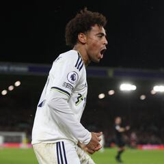 Serie A, posible destino de Tyler Adams en caso de descender con Leeds United