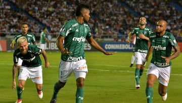 Miguel Borja, delantero de Palmeiras