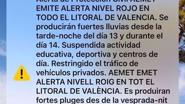 El Valencia suspende el entrenamiento por la alerta roja