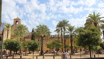 Hallazgo único en Córdoba