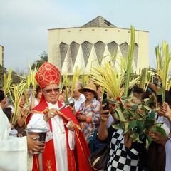 Domingo de Ramos en Barranquilla: programación en la catedral e inicio Semana Santa