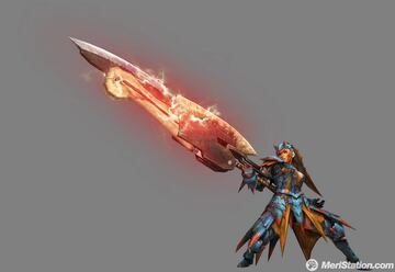 Captura de pantalla - monster_hunter_tri_16.jpg