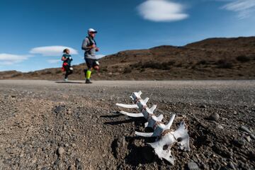 El evento, que se desarrolló en el Parque Torres del Paine este 11 de septiembre, dejó estas imágenes increíbles. ¡Revive algunos de los momentos!