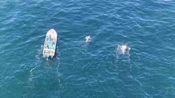 La gran hazaña de un nadador chileno: cruzó 15 kilómetros desde Concón a Caleta Abarca sin traje de neopreno