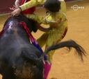 Terrible cornada al novillero Manuel Perera en Vistalegre