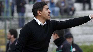 El entrenador de Palestino Nicolas Cordova