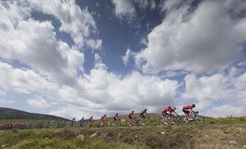 El pelotón en el transcurso de la carrera.