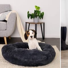 ¿Qué se necesita para tener un perro? 10 productos básicos (y baratos) para que cuides de tu mascota