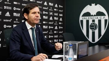 Mateu Alemany, en rueda de prensa.