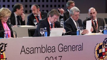 Asamblea general de la RFEF.