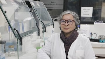 El probiótico chileno que podría terminar con el cáncer gástrico: la historia es un ejemplo de superación para el país