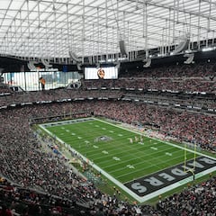 These are the NFL stadiums with real grass and with artificial turf: full list of field surfaces