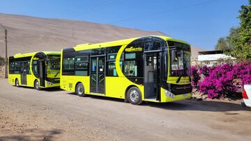 Arica avanza hacia el transporte eléctrico: hay 12 nuevos buses para la ciudad