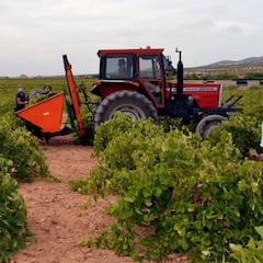Ni aceite ni jamón: el producto ‘made in Spain’ que ha bajado al tercer puesto en el ranking de la producción europea