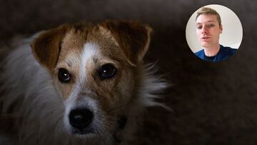 Top five dog breed to keep at home