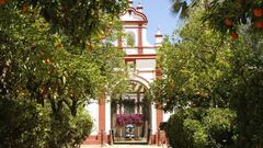 En el corazón del aceite de oliva