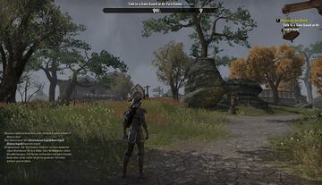 Captura de pantalla - The Elder Scrolls Online (PC)