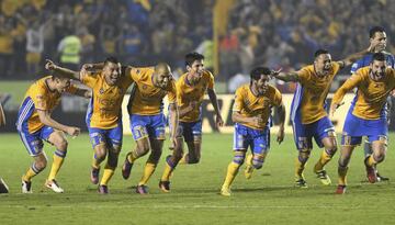 Tigres celebratef