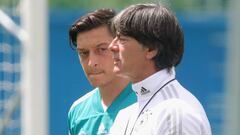 Low: Germany underestimated impact of Ozil's Erdogan photo