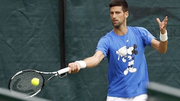 Djokovic, cabeza de serie; Murray y Federer, dos y tres