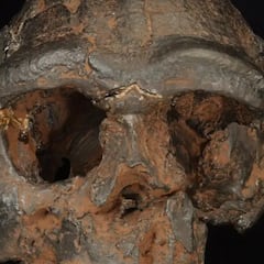 El hallazgo de un fósil de 150.000 años apunta a la existencia de un ‘hombre dragón’