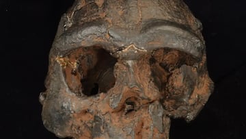 El hallazgo de un fósil de 150.000 años apunta a la existencia de un ‘hombre dragón’