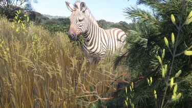 Microsoft Flight Simulator 2024, primeras impresiones de un juego que nos hace volar en óptimas condiciones