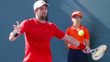 Fernando Verdasco