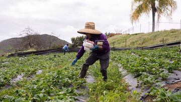 Bancos en México suspenden pagos por el coronavirus