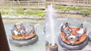 El “mejor trabajo del mundo” arrasa en TikTok