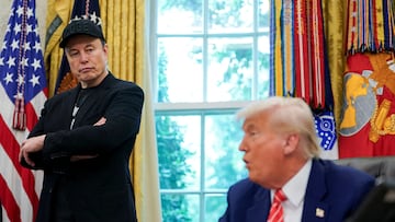 Musk feud with Trump an “Epic disaster” for Tesla