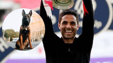 Mikel Arteta se suma a otros futbolistas comprándose un perro guardián de 22.000 euros