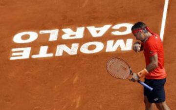 David Ferrer.