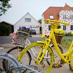 Which states have the lowest property taxes? And the highest?